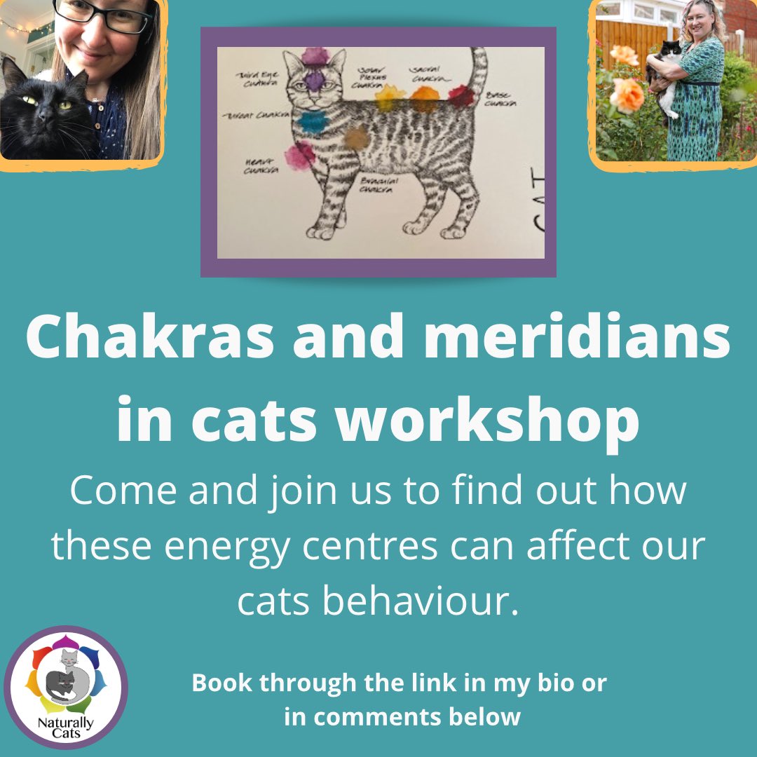 Fancy joining us? eventbrite.co.uk/e/143066853811 #givingcatsavoice
