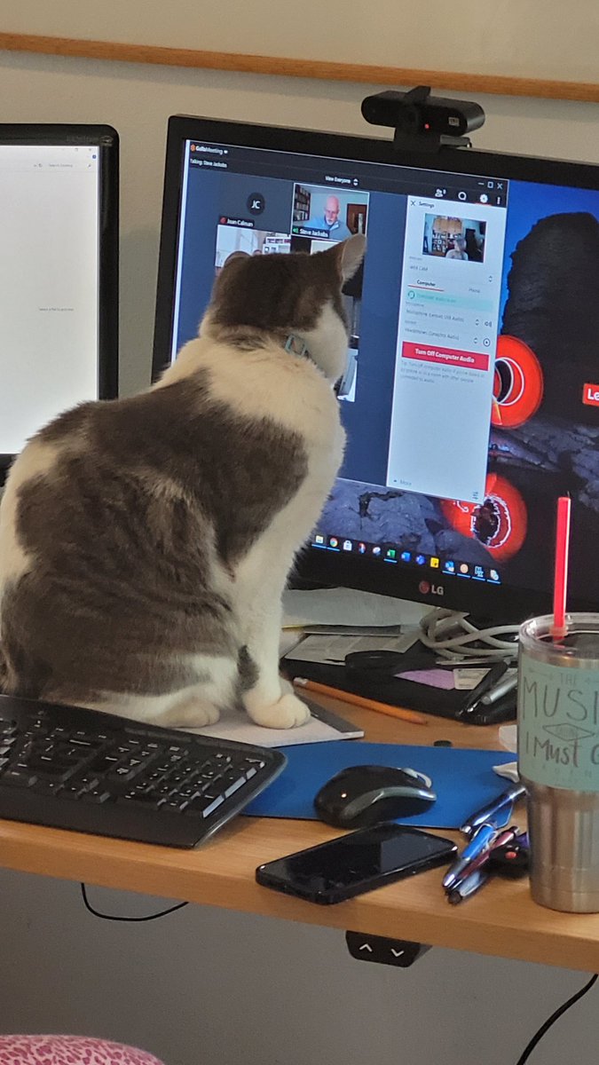 codex24's tweet image. My secretary scored me an appointment, and I got my first vax! Thanks @AusPublicHealth !