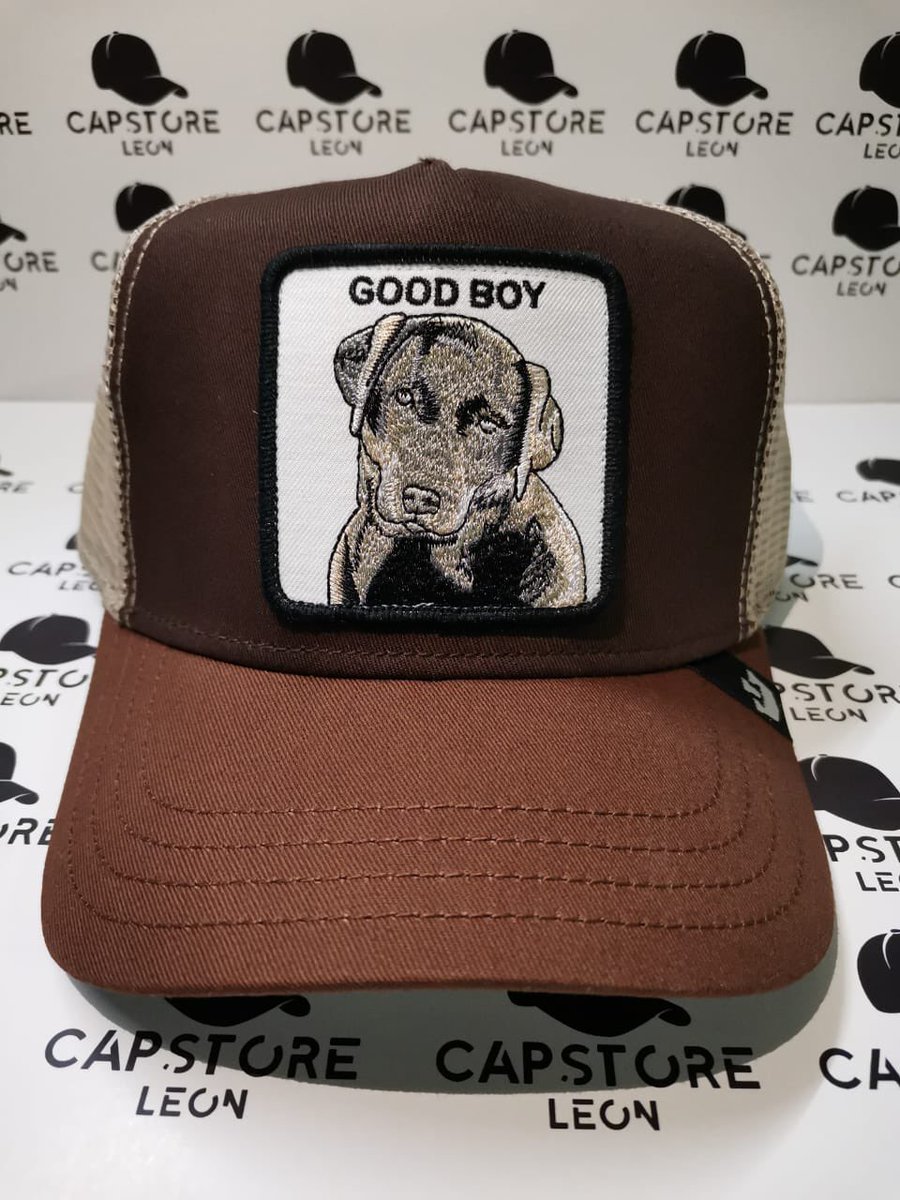 CapStoreLeon's tweet photo. ***NUEVOS MODELOS***

Gorra de Camionero, marca #GoorinBros, con malla, parte de la colección Animal Farm Truckers 

Diseño: Good Boy 
Color: Café
Talla: Ajustable

Haz tu pedido por inbox o a través de nuestras cuentas oficiales de Instagram, Facebook, Twitter o  en Whatsapp. https://t.co/s84m2Yda9i