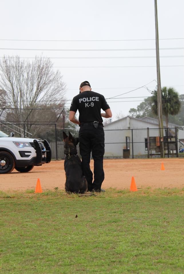 FortWaltonBchPD's tweet photo. Did you all know our very own K9 Bane is competing in his first ever competition next week?!
#K9Bane #PoliceK9 #Police #GoodestBoy #Dogs #fwbpd https://t.co/7Ze7hZGgcf