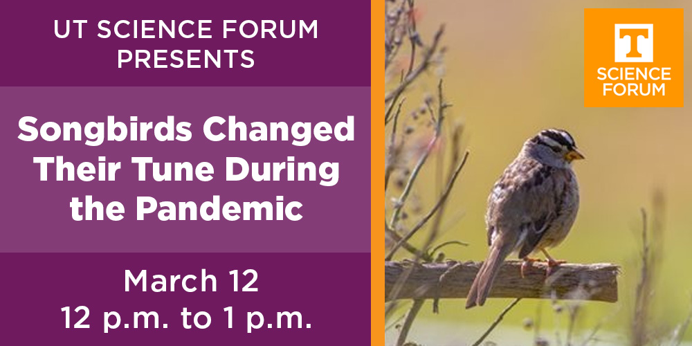 Join the @UTScienceForum for a closer look at how pandemic lockdowns affected communication among bird species. The presenter will be Elizabeth Derryberry from <a href="/UTK_EEB/">UTK EEB</a>.

Friday, March 12 at 12 pm
Register here: ow.ly/m3Cj50DUtxE