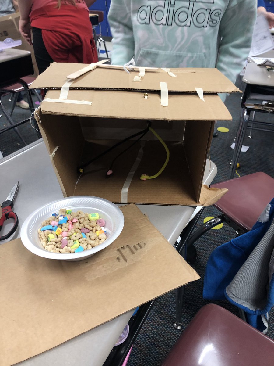 GroovyAthletes's tweet photo. Day 2: build the traps!  🍀 https://t.co/PZKdWcQnMz