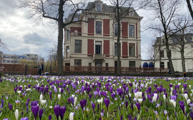 SaxArchitecten's tweet photo. Lente bij Sax Architecten! Het licht komt terug en het werk stroomt binnen. Daar zijn we dankbaar voor en blij mee.
https://t.co/RKjrZCWIfr https://t.co/rD82g2rPSG