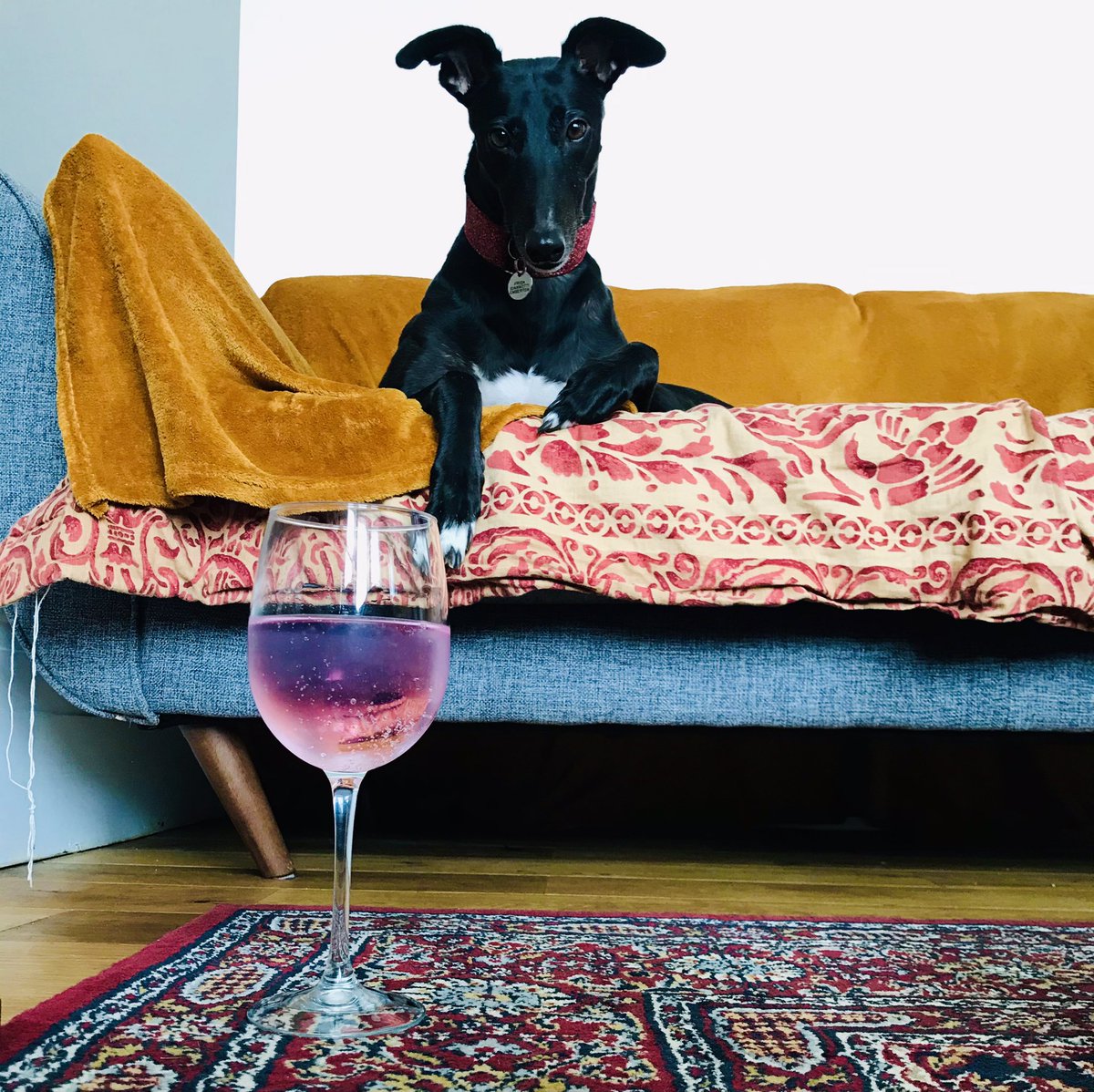 Elisabetta Giannotti tweet media