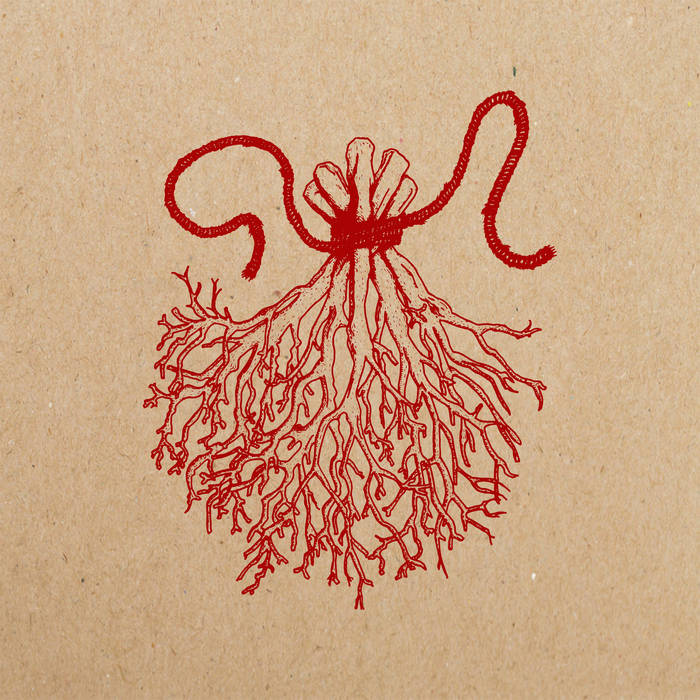 MerchantsofAir's tweet image. new review: Agvirre/Dead Cosmonauts - Eye of Mirrors
#postmetal #spacerock #blackgaze
merchantsofair.com/albums/agvirre…