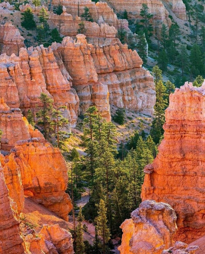 3D2023's tweet photo. #Beautiful
#Amazing
#nationalParque #usa https://t.co/3mz8JMHLJd
