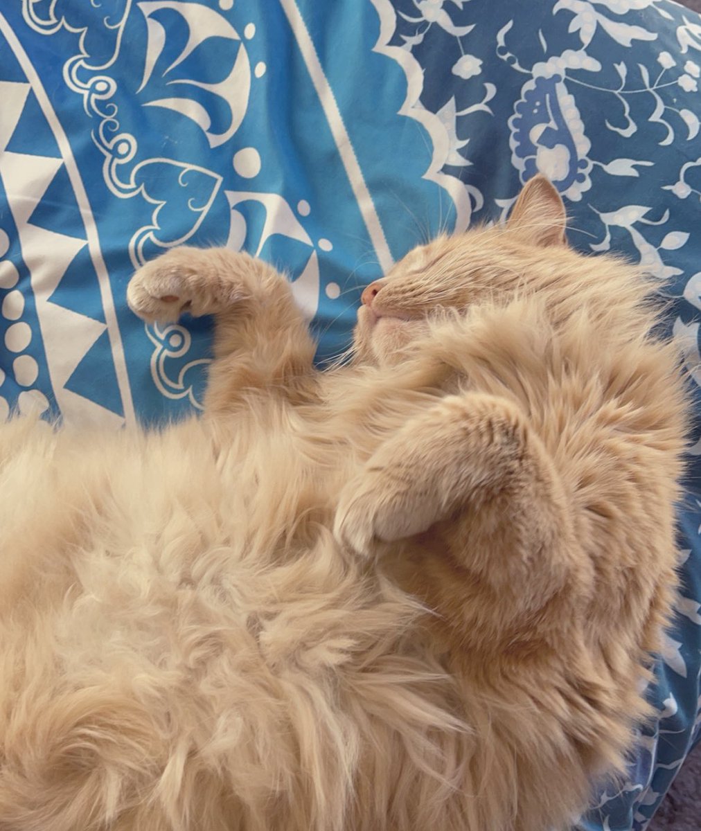 Edward Zepeda-Perez tweet media