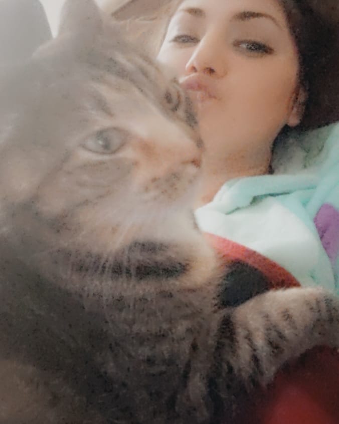 fox_one_lj's tweet photo. Just a girl, annoying her cat in a onesie. #onesie #catsofinstagram #catsoftwitter #streamercommunity #streamingbuddy https://t.co/LnTiE07hgM