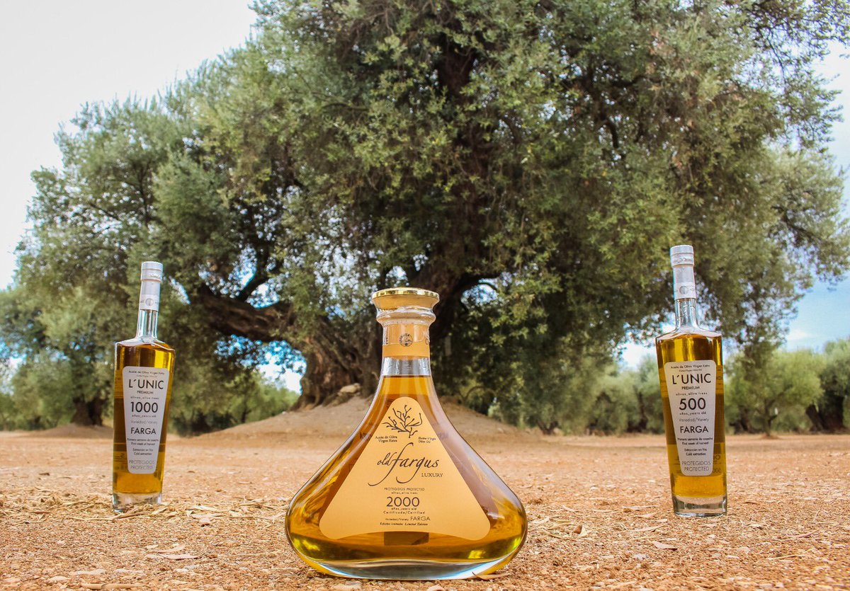 Se acerca el #diadelpadre 👨🏻y que mejor que regalar nuestros #aove más premium’s para los mejores críticos gastronómicos de la casa. ✨Un sabor auténtico milenario que te transportará muchos siglos atrás. Un #regalodiferente único y exclusivo🎁Dinos cuál es tu botella favorita🤩