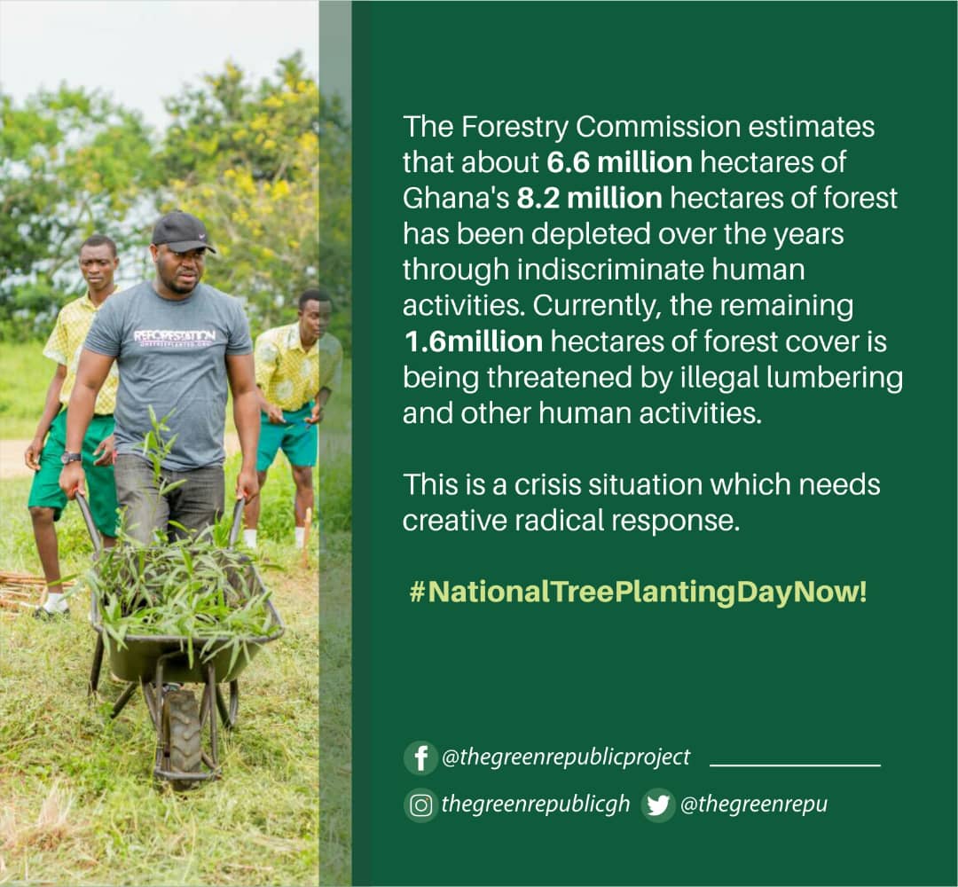 TheGreenRepu's tweet photo. We are extremely excited that H.E. the President mentioned a National Tree Planting Day in the State of the Nation Address a few moments back. Our call for a National Tree Planting Day gradually coming up. Thank you Mr. President. https://t.co/if6KUMFJbg