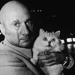 BrexitBuster's tweet photo. I take my hat off to the brave, brilliant Russian photographer - in all probability now deceased - who managed to persuade international super villain Vladimir Putin to pose with a cat. It’s a work of heartbreaking genius. RIP. #Number1 #SPECTRE #Blofeld #BrexitFunder https://t.co/W4oRFbVkDK