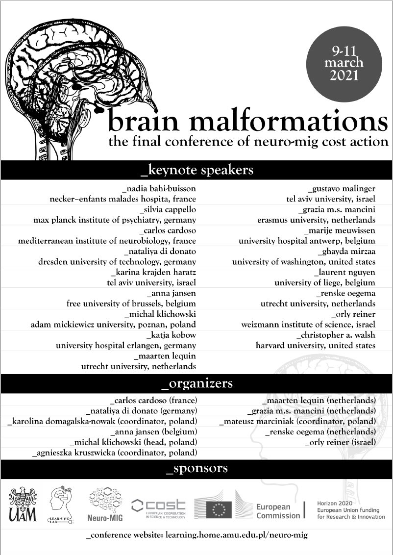 neuro-MIG tweet media