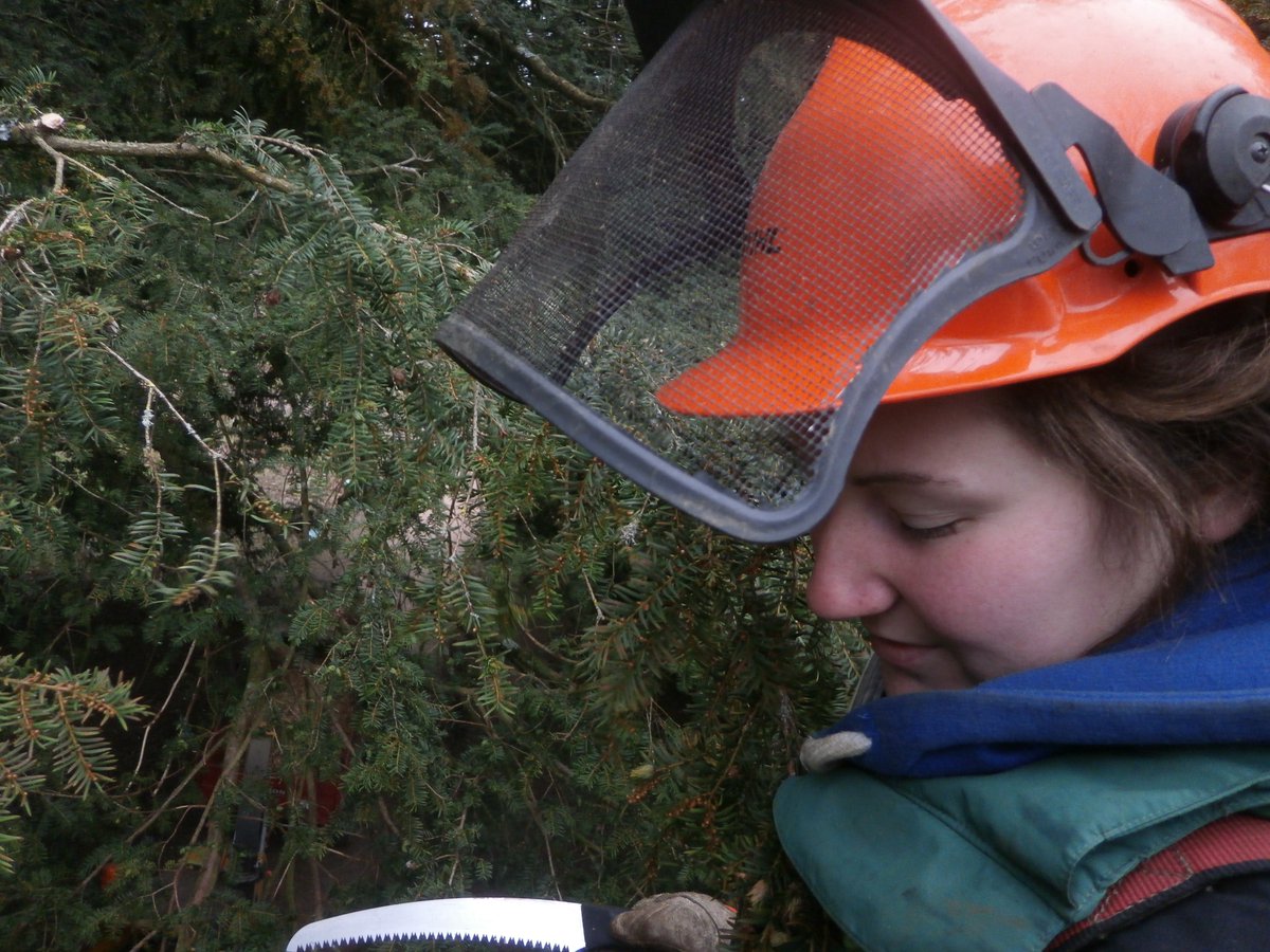 WestonbirtArb's tweet photo. Calling all student arborists! Opportunity to train, work and earn alongside Westonbirt's experienced Tree Team. This chance is not to be missed!
We're looking for a Student Arborist to complete a paid 12-month work-based placement starting in summer 2021.
https://t.co/do9jcnWvbC https://t.co/l2KWa1n41v