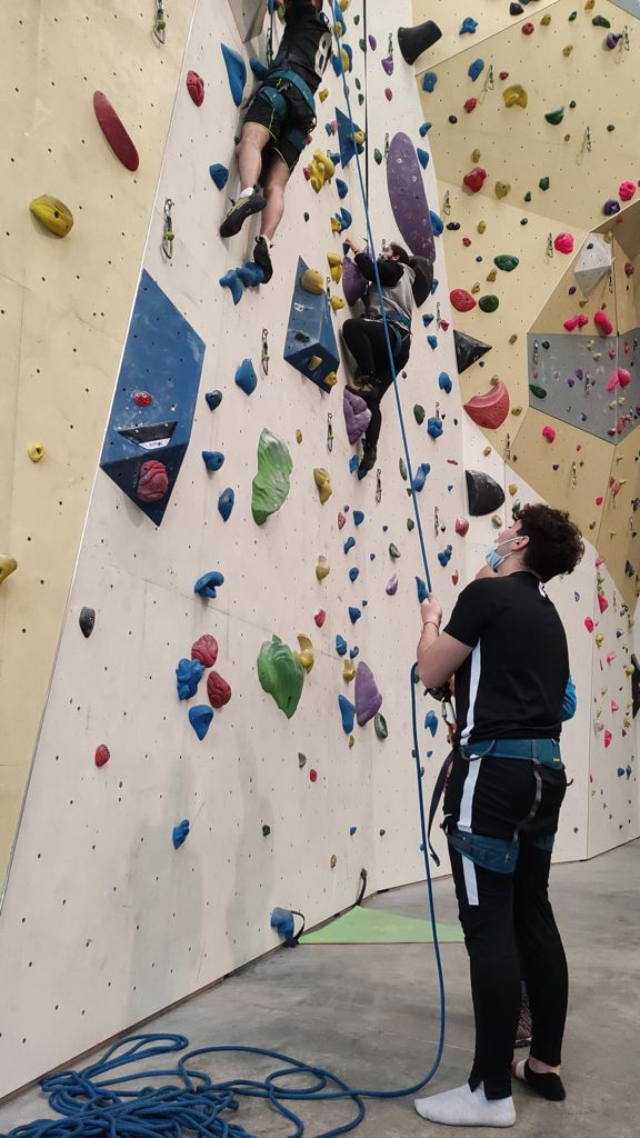 CEES.CAT tweet media