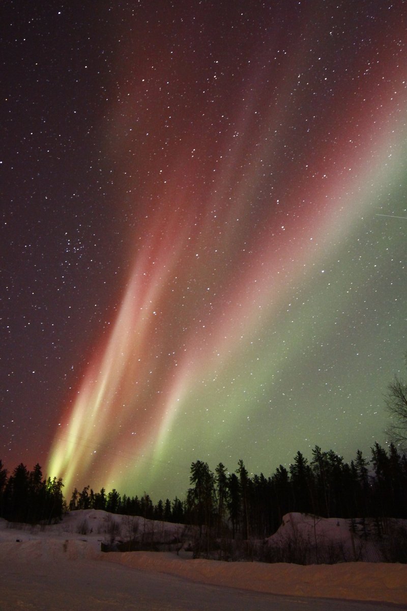 DAILY AURORA FLASHBACK
📷Photo Taken: 21st March 2017

-----------
#AuroraVillage20Years #VirtuallyYours #DestinationIndigenous #spectacularnwt #explorecanada 
----------