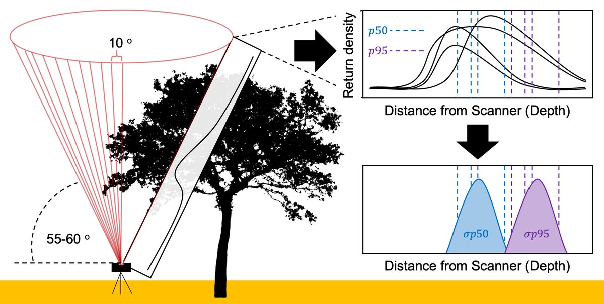 ESAEcosphere's tweet photo. Are more diverse forests more structurally complex? A new study uses #LiDAR to put a number on vegetation's physical structure
#StructuralComplexity #OpenAccess #NSFfunded @NSF @NEON_sci @ecojaw @atkinsjeff @StovallAtticus
https://t.co/CiASr2B9t5 https://t.co/hY5LufCixh
