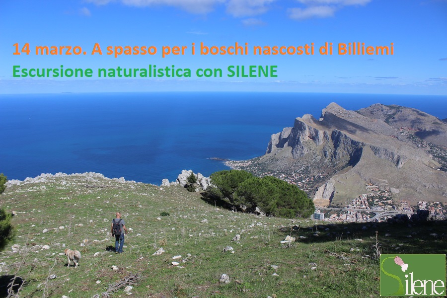 SileneCoop's tweet photo. Sospesi tra cielo mare terra, sui sentieri di Pizzo Minolfo. Questa domenica con Silene! Qui il programma: https://t.co/VJw3yfXAAV #natura #escursioni #Sicilia #tempolibero #mariemontagne #Palermo #silenecoop https://t.co/i4mgH5yE5b