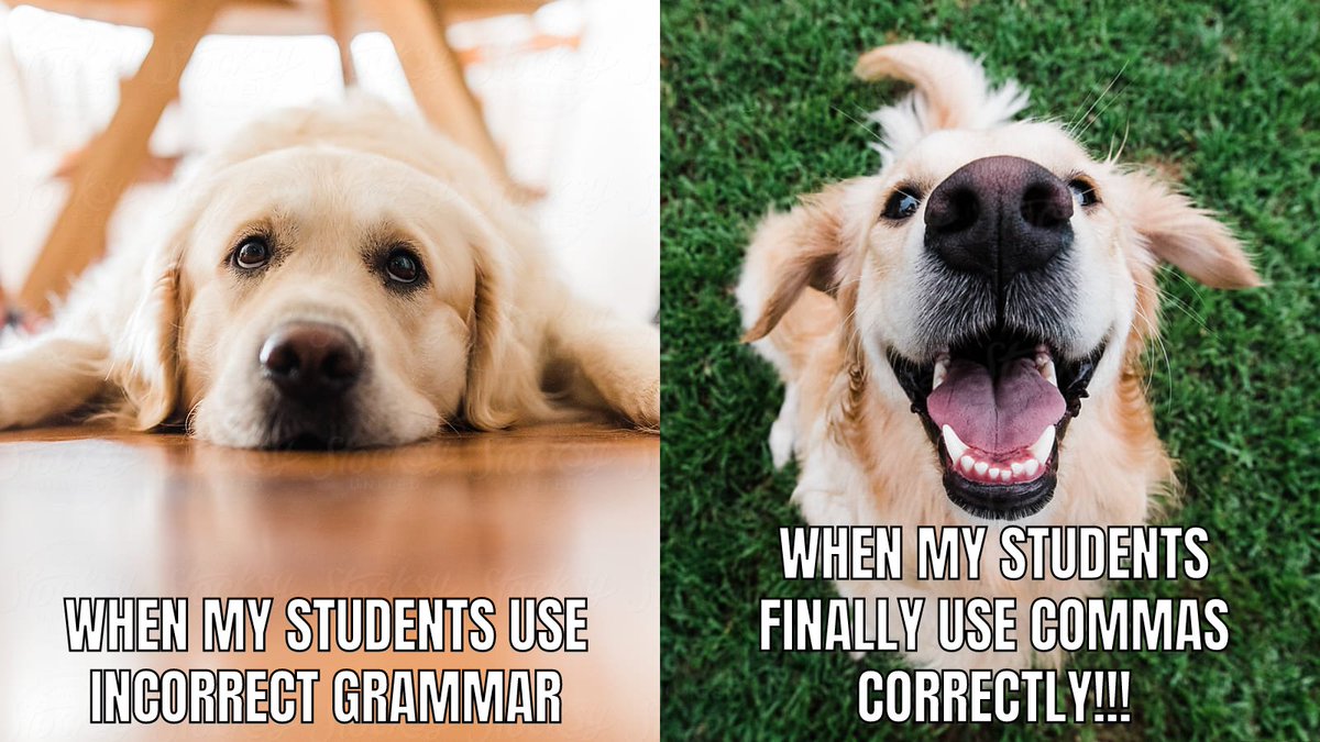 graceinteaching's tweet photo. #fsu2040
Enjoy this golden retriever meme I created! https://t.co/x3IlOTm8Qp