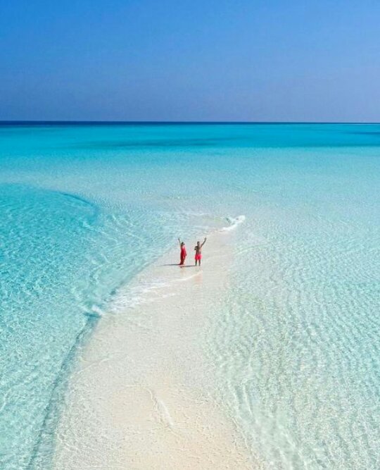 guardiaplanet's tweet photo. The edge of the beach...
#planetearth #planetguard #nature #landscape #photo #travel #spa #trekking #camping #kayak #yoga #peace #life #hope #stillness #relax #harmony #oxigen #sand #beach #island #coast #shore #air #sky #water #sea #ocean https://t.co/FiwZ5QQ4yA