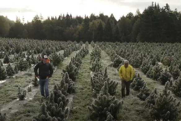 TVTango's tweet photo. 🌟Watch tonight @VICETV 10:30pm Series Premiere #KingsOfKush @MONTKUSH w/ @sullyontv @dcmontkush @EthanZohn About https://t.co/NDnx5NVpAO https://t.co/fWk6Acre7t