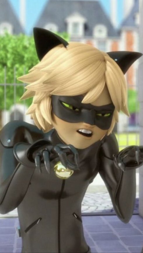 Ladybug tweet media