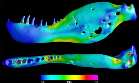 Andre Rowe tweet media