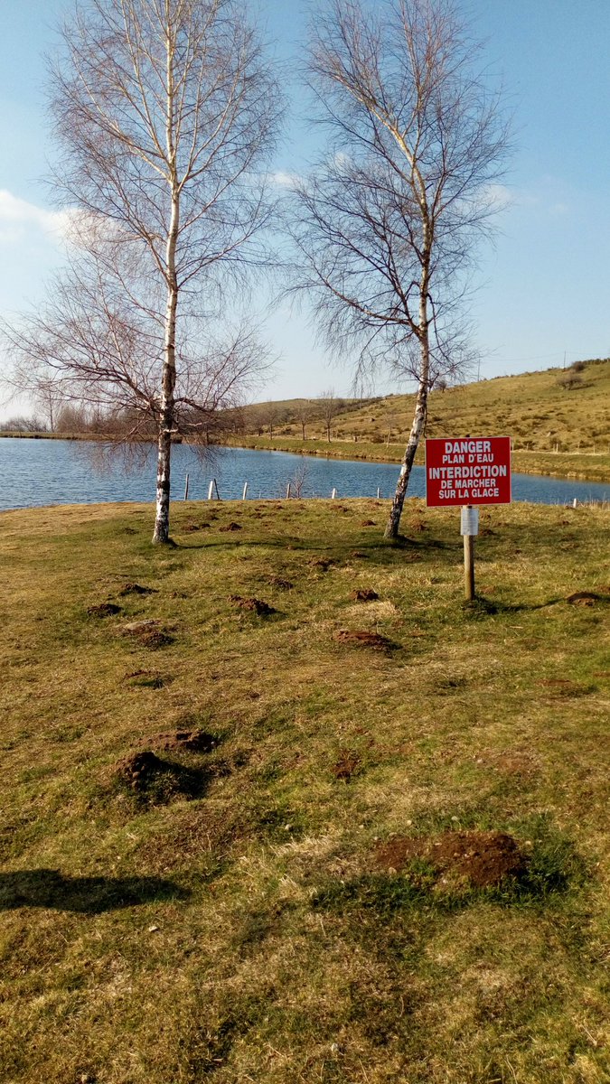 Trop prudents les Auvergnats !