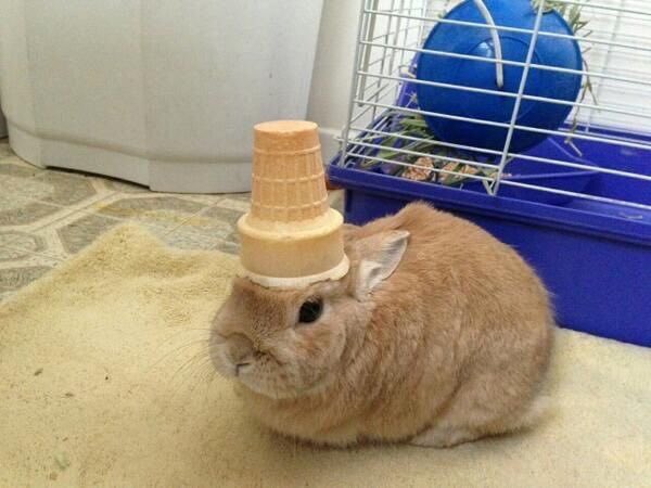 not to be political but