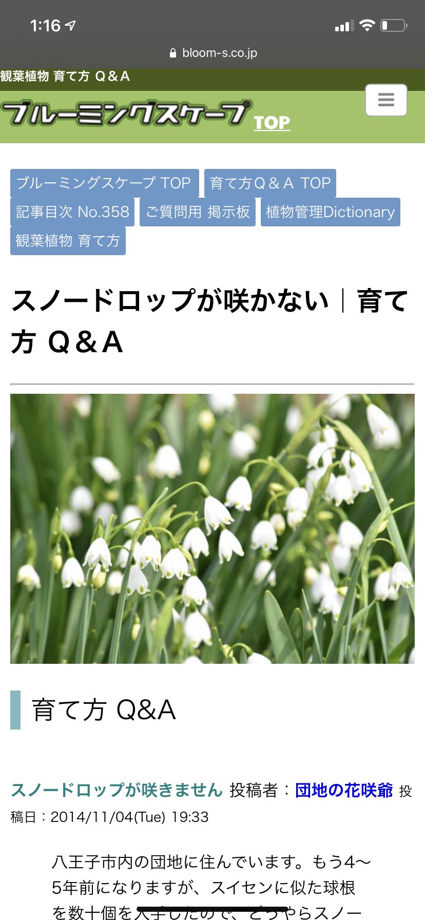 魔王ぽこなぼ たぬき على تويتر スノードロップかわいい と画像検索してたらちょいちょいスノードロップと言いながらスノーフレーク の写真はっつけてるやつがあり 3枚目と4枚目なんかはスノードロップの写真も載せてるのにスノーフレークの写真混同して載せてて