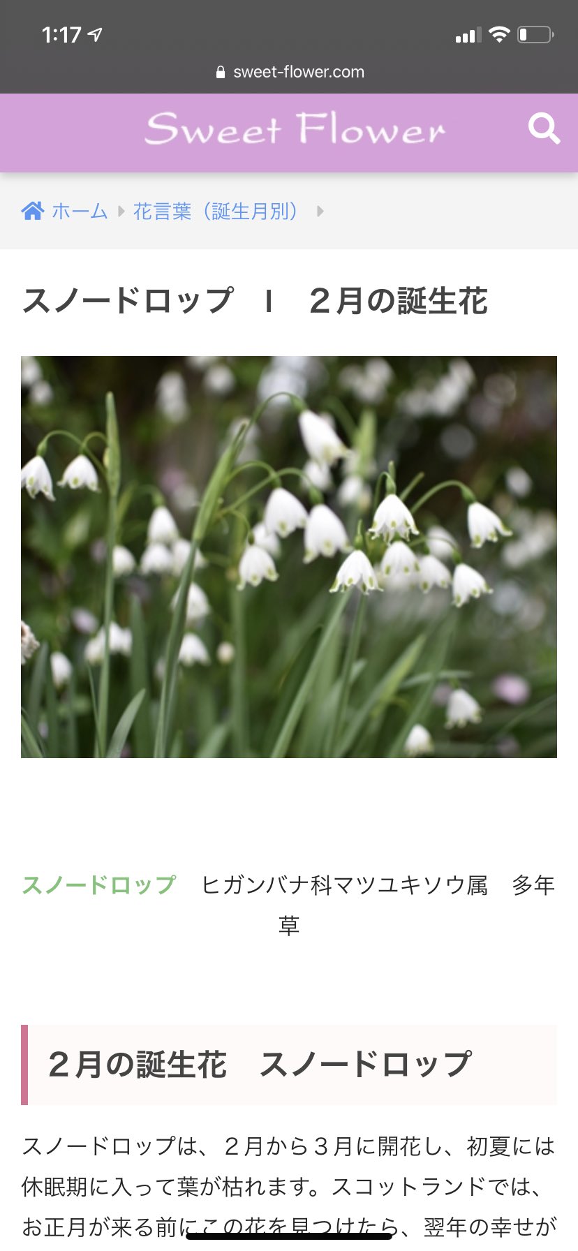 魔王ぽこなぼ たぬき على تويتر スノードロップかわいい と画像検索してたらちょいちょいスノードロップと言いながらスノーフレーク の写真はっつけてるやつがあり 3枚目と4枚目なんかはスノードロップの写真も載せてるのにスノーフレークの写真混同して載せてて