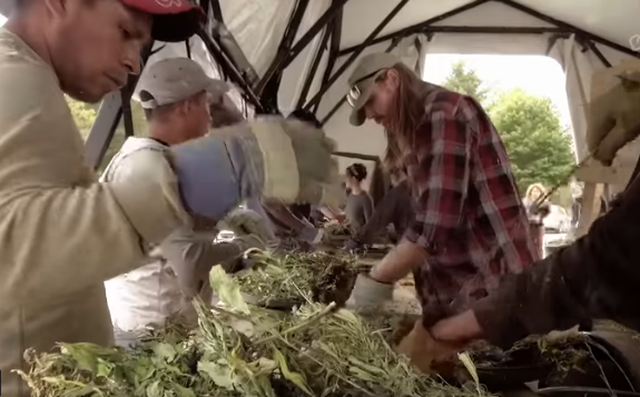 TVTango's tweet photo. 🌟Watch tonight @VICETV 10:30pm Series Premiere #KingsOfKush @MONTKUSH w/ @sullyontv @dcmontkush @EthanZohn About https://t.co/NDnx5NVpAO https://t.co/fWk6Acre7t