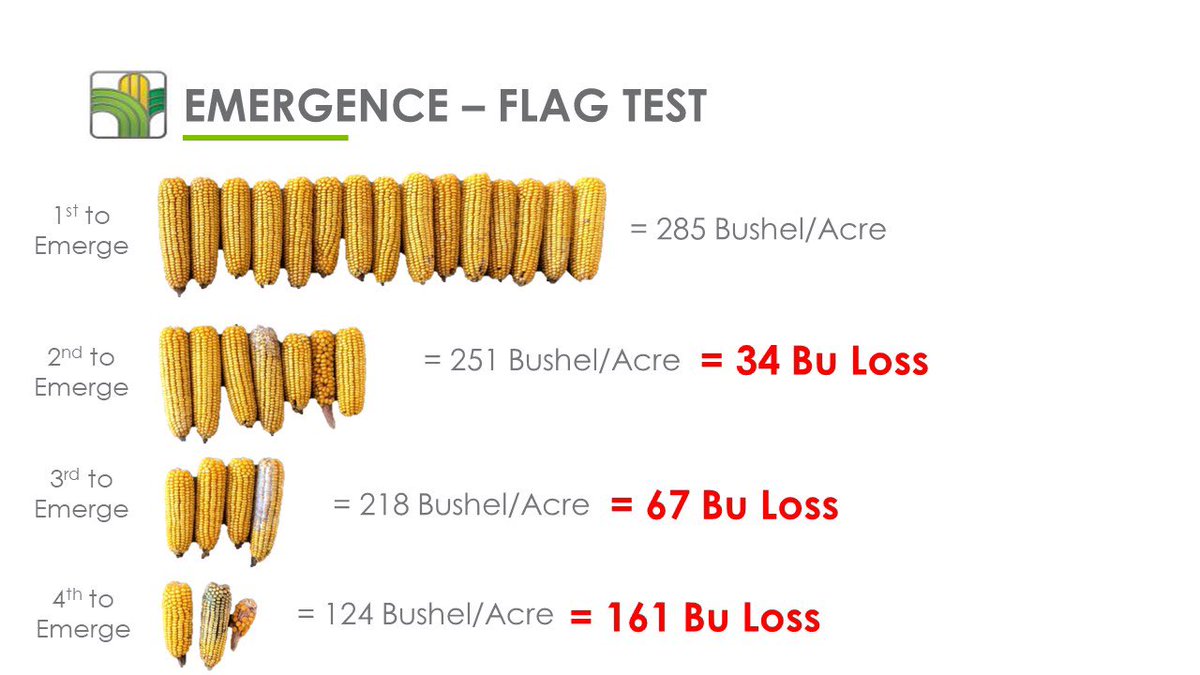 agrjosh's tweet photo. As #plant21 quickly approaches, make sure your planter is functioning perfectly!  Even emergence is a critical component for high yield! https://t.co/WrecNhXOtm