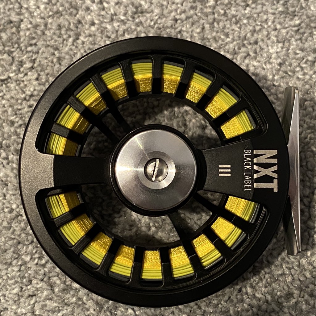 Not Only Trout tweet media