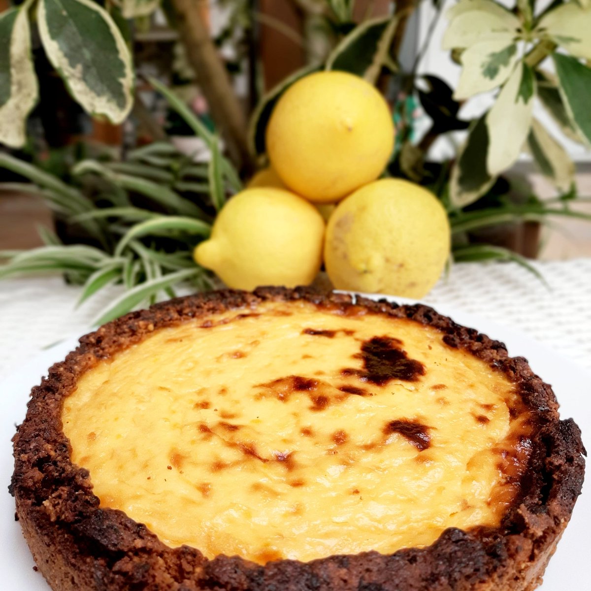malucodan's tweet photo. #bakeoftheday is a lemon infused #portuguesecustard #seasonaltart.
Still making the most of the #localproduce #citrusharvest. Life gives you lemons, you bake!
#nataportuguesa #ISpeakFoodie #SaborAMalaga #haciendasolmalaga #Axarquia #bestclimaineurope
#safetourism https://t.co/2ueHyDa9Yb