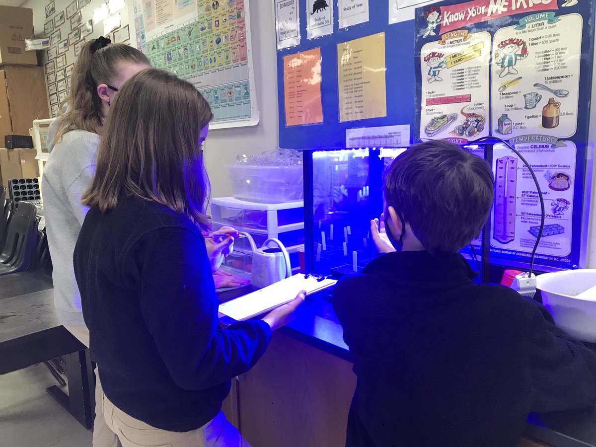 mccarthy102195's tweet photo. We are having big success growing our Extra Dwarf Bok Choi in our Veggie growth chamber!! #spacefarming @GrowBeyondEarth @IowaSTEM @STCSdsm https://t.co/HFjgiauIUd
