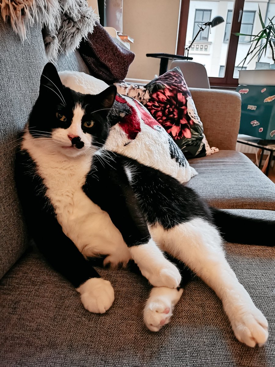 J.Charles.M 🏞️🏜️ tweet media