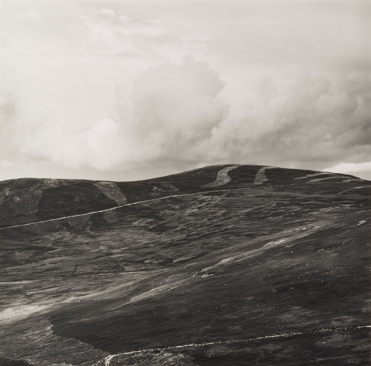 National Galleries of Scotland tweet media