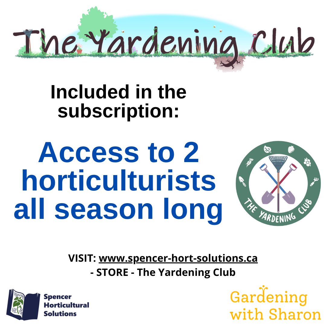 RobtheHortGod's tweet photo. I haven't promoted it much here, but I'm collaborating with #GardeningWithSharon to offer a full season subscription for the home gardening enthusiast called The YARDening Club. 3 posts/week for 27 weeks. Visit the Store at https://t.co/gd64qUwlqC to purchase. Starts March 15. https://t.co/QitZOwX92E