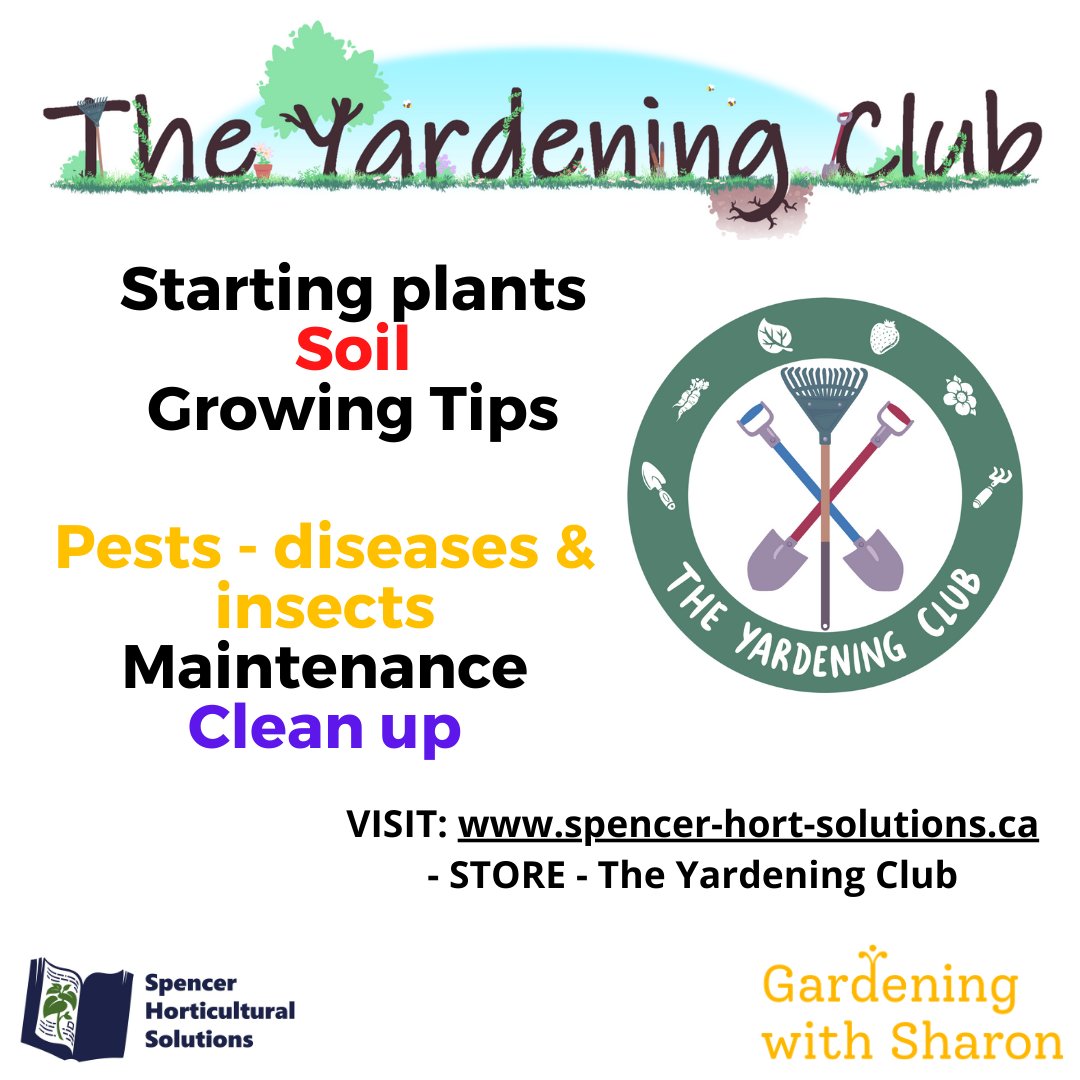 RobtheHortGod's tweet photo. I haven't promoted it much here, but I'm collaborating with #GardeningWithSharon to offer a full season subscription for the home gardening enthusiast called The YARDening Club. 3 posts/week for 27 weeks. Visit the Store at https://t.co/gd64qUwlqC to purchase. Starts March 15. https://t.co/QitZOwX92E