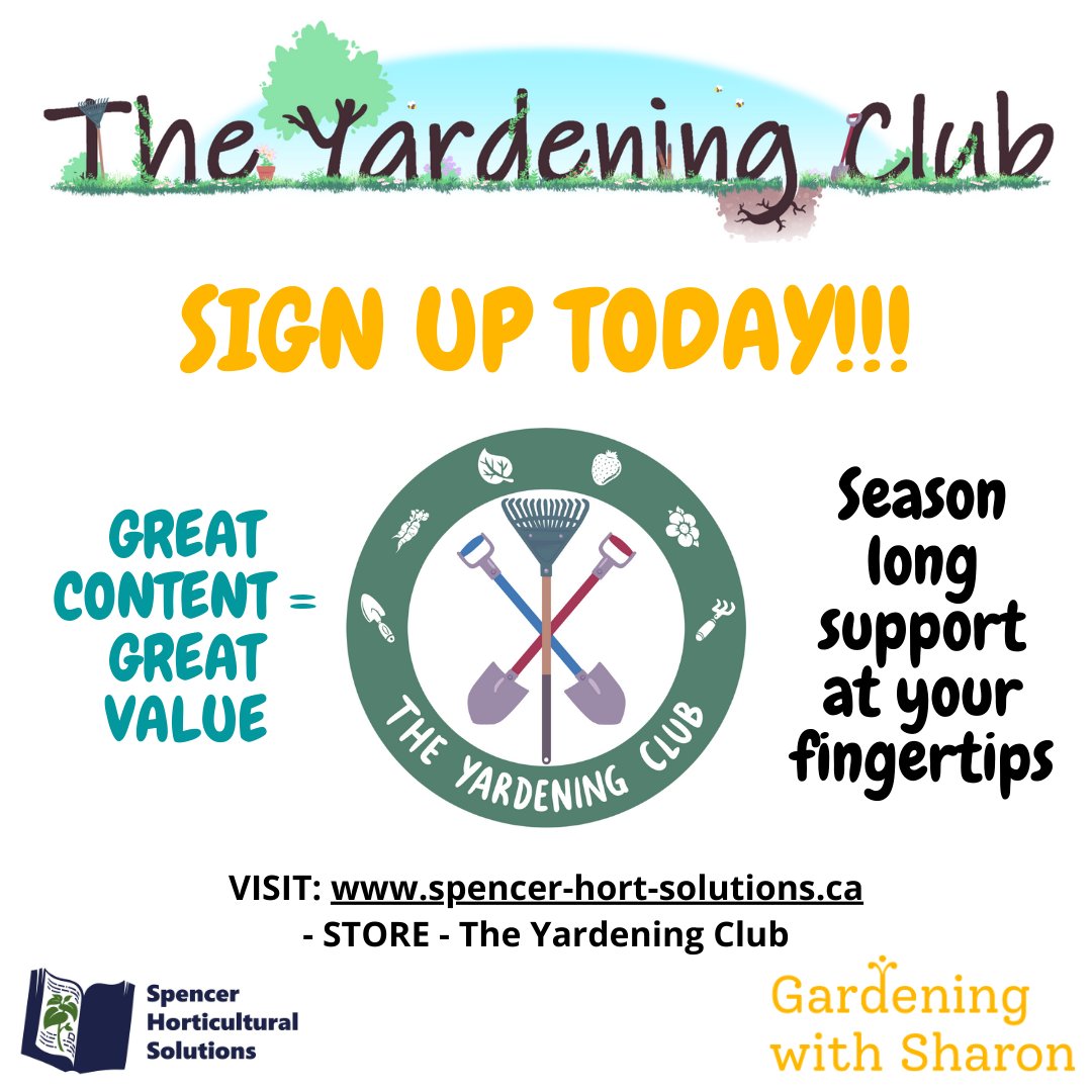 RobtheHortGod's tweet photo. I haven't promoted it much here, but I'm collaborating with #GardeningWithSharon to offer a full season subscription for the home gardening enthusiast called The YARDening Club. 3 posts/week for 27 weeks. Visit the Store at https://t.co/gd64qUwlqC to purchase. Starts March 15. https://t.co/QitZOwX92E