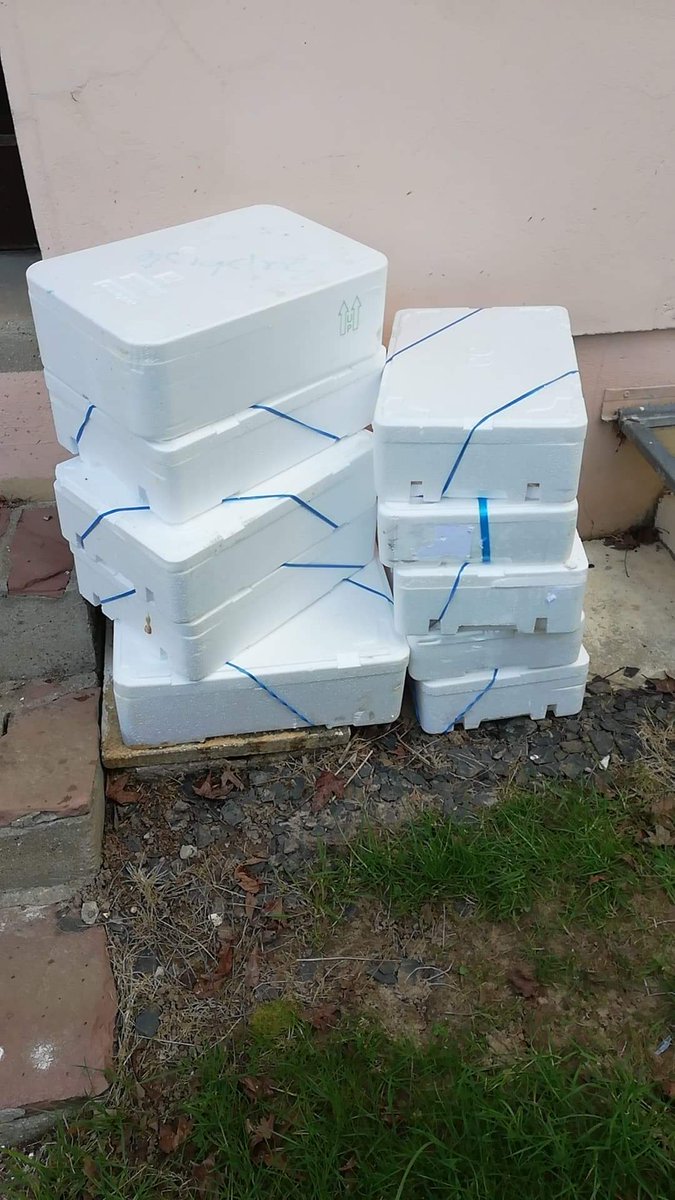 Aurélien Perier tweet media