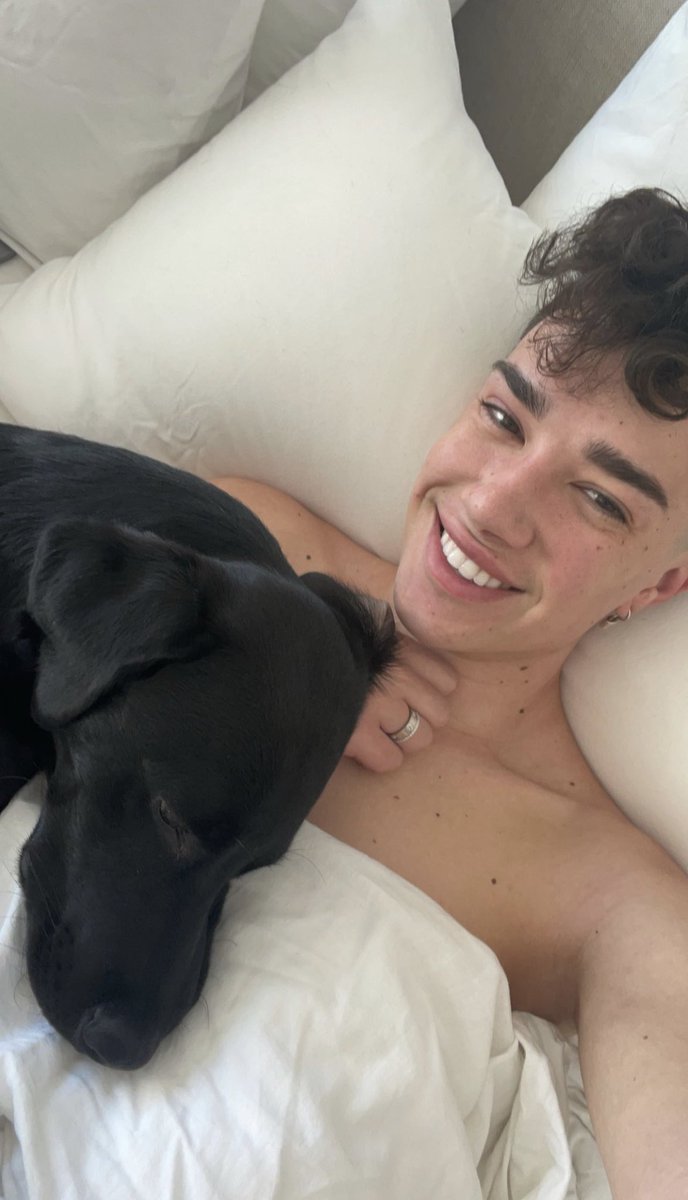 updatedcharles's tweet photo. James via instagram stories 🐶 https://t.co/EJFGGtVGqG