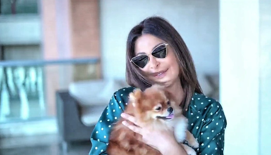 ali_ahmeedd's tweet photo. El Amaar #Allous with #ster 🥰💖💖
@elissakh 👑❤️ https://t.co/wCcqhaSjyy