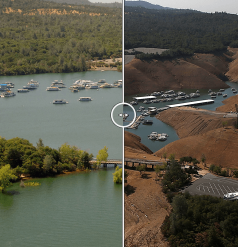 Action Nan tweet media