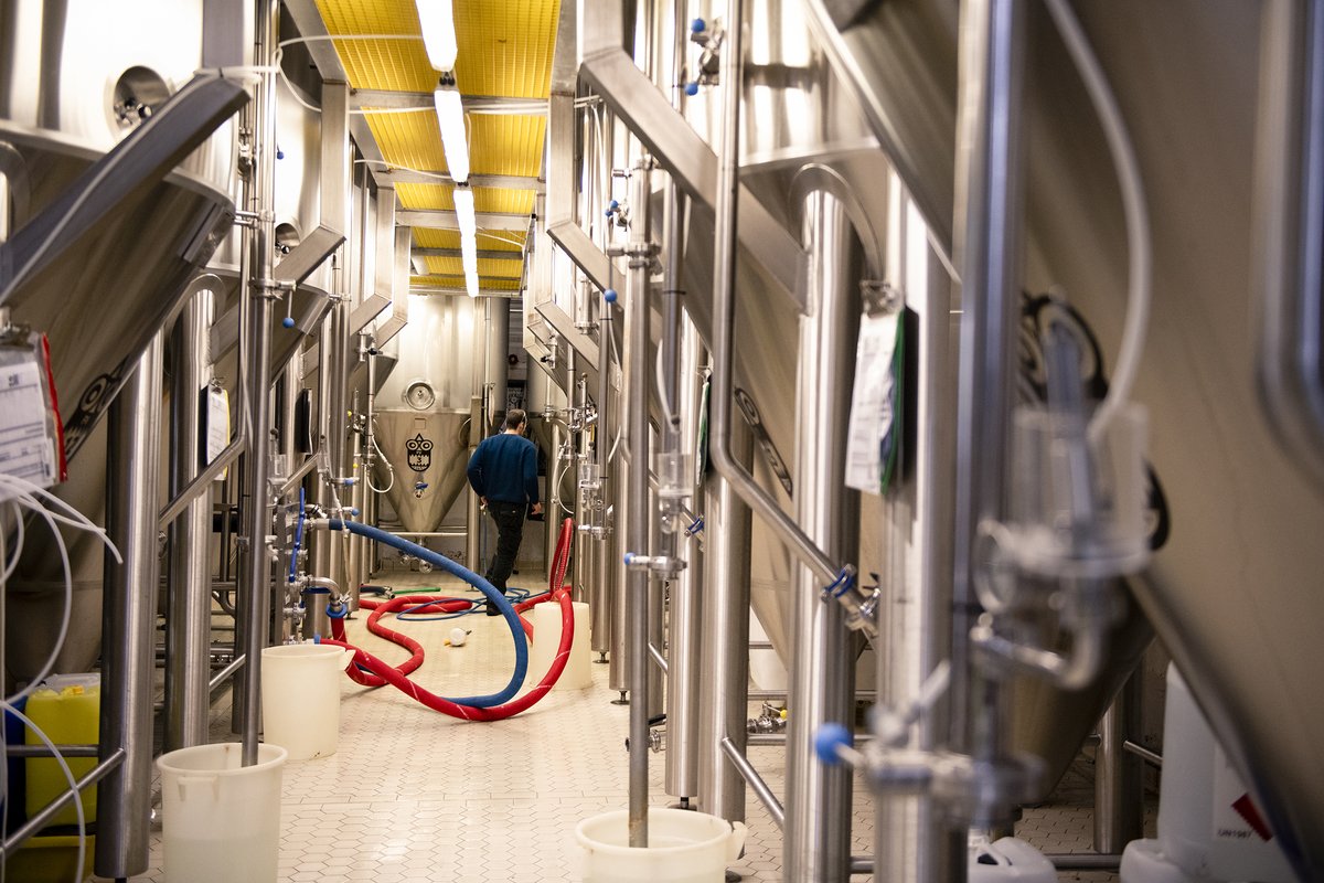 WE ARE HIRING A MAGIC BREWER 🍻 We are looking for an experienced brewer/cellarperson to join our growing team full time at our Huddersfield brewery. Head to the link below now to view the full job description and apply ⬇️

bit.ly/BrewerJobMarch