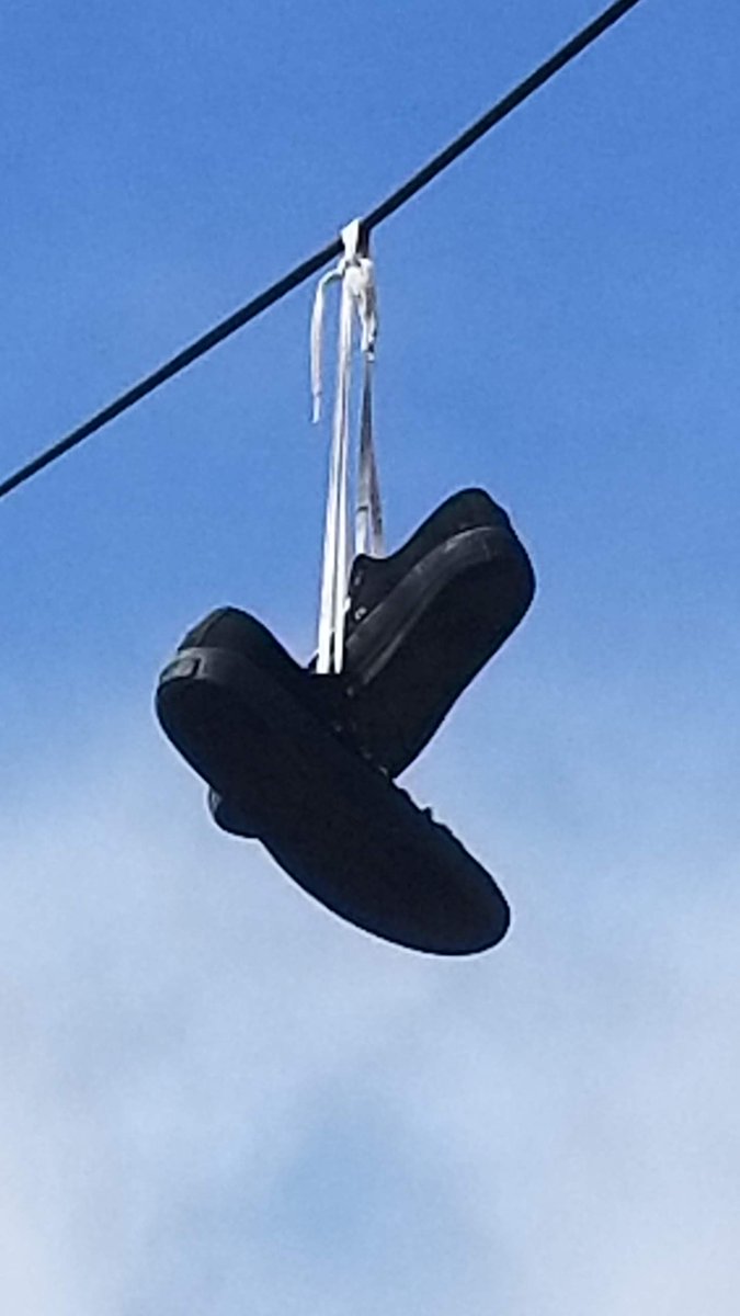my_colorado's tweet photo. #Colorado #Denver #ShoeTossing https://t.co/mw203Qbfpc