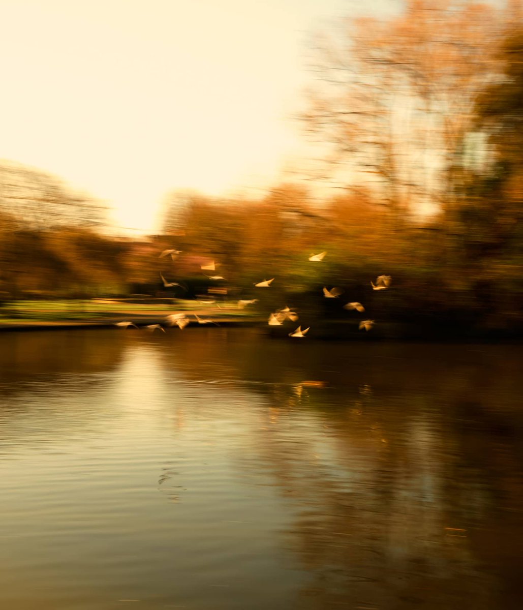 le_mollet's tweet photo. I quite love the park
Especially in the morning
The place was crowded, but what's good with a park is that you can always find a place where you're alone
And boy does it feel good to be alone in the park...

#streetphotography #travelphotography #goldenhour https://t.co/Ssky6uMvWn