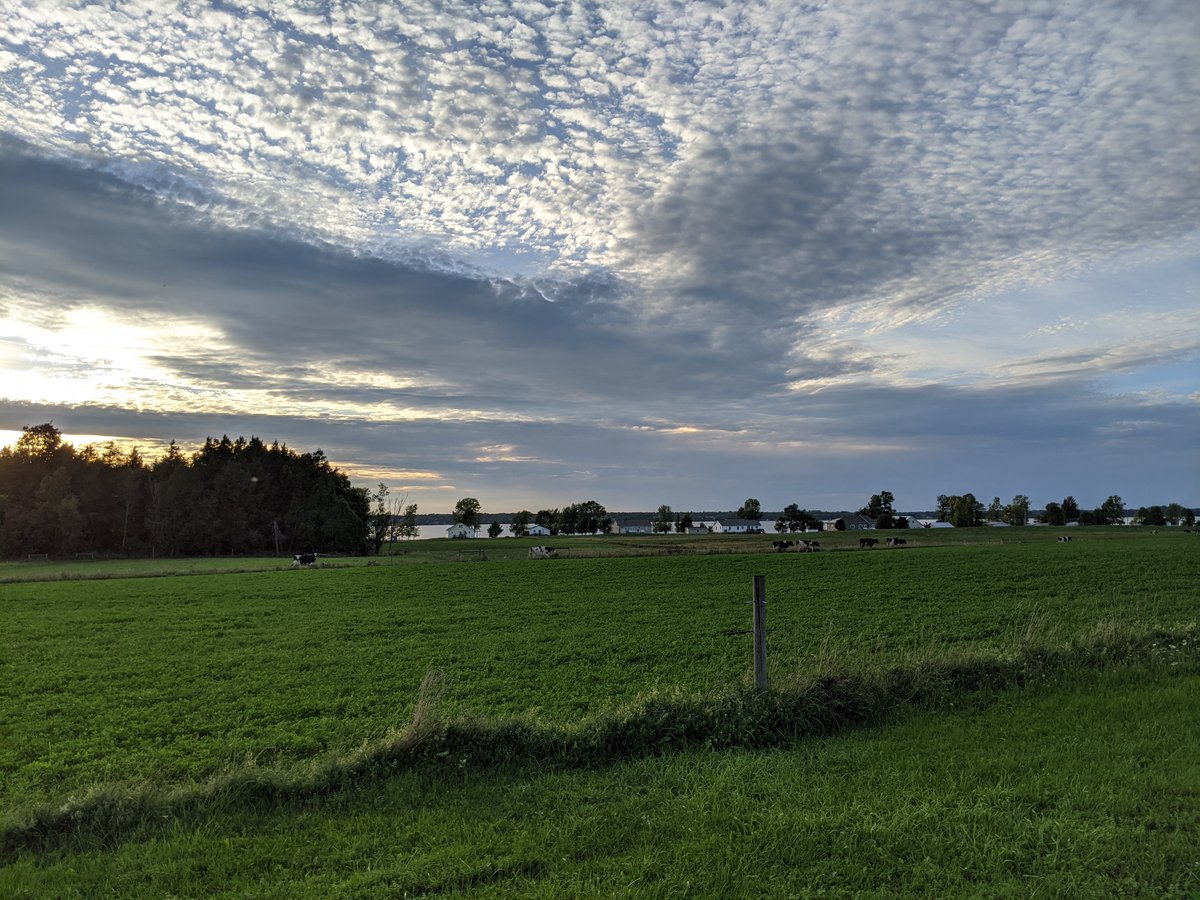 😁 Some personal news… I started a company with <a href="/ciaomack/">Mackenzie Burnett</a> and <a href="/jeffand_/">Jeff Anders</a>, and we’re hiring! Ambrook is making farming more profitable and sustainable through a financial management platform for ag. Sound interesting? DM me or shoot me an email at dan@ambrook.ag. (1/5)