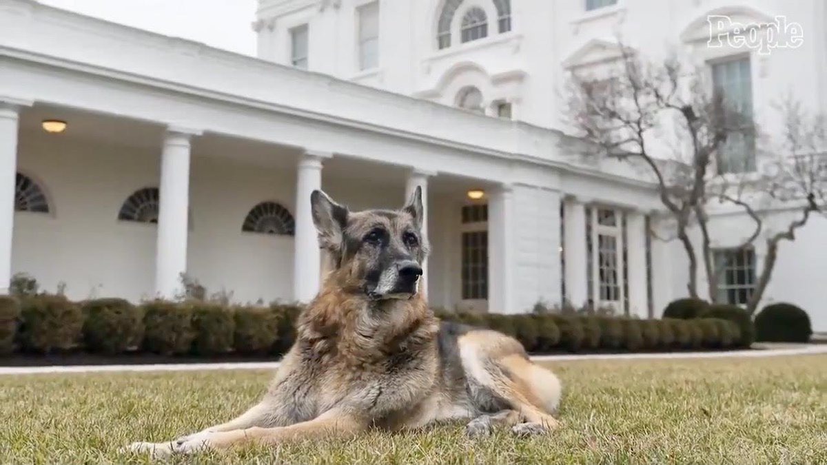 The Oval Pawffice® 🇺🇸 DOTUS Fans tweet media