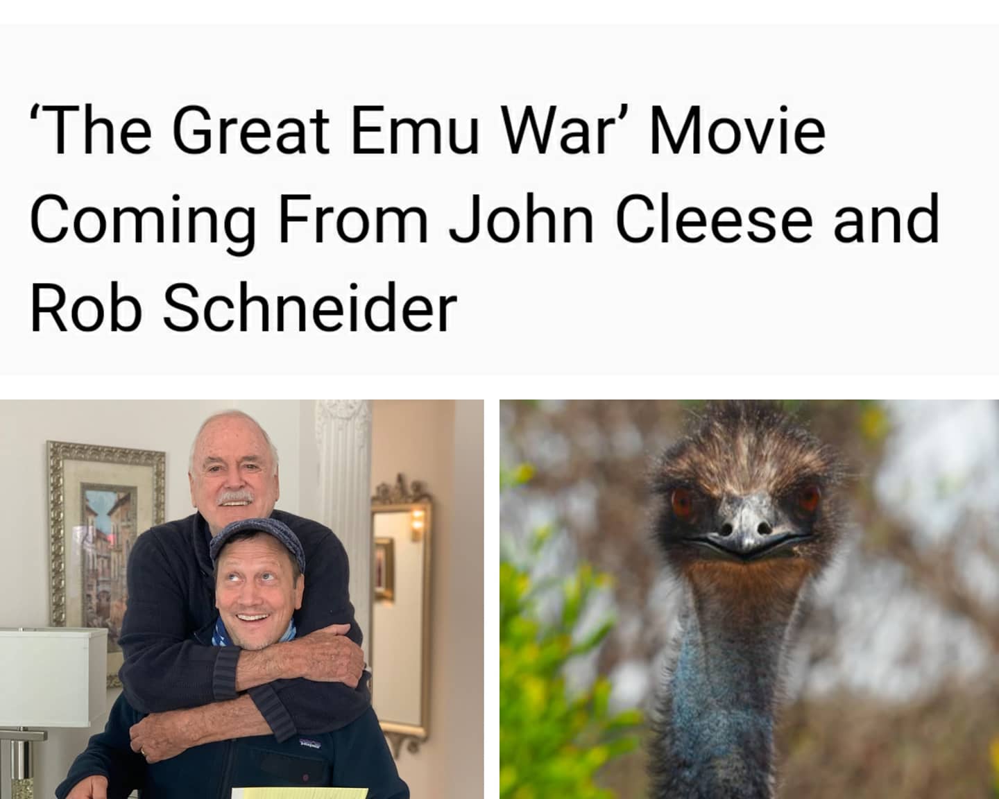 EwDdJm2VIAEJ6_q?format=jpg&name=large